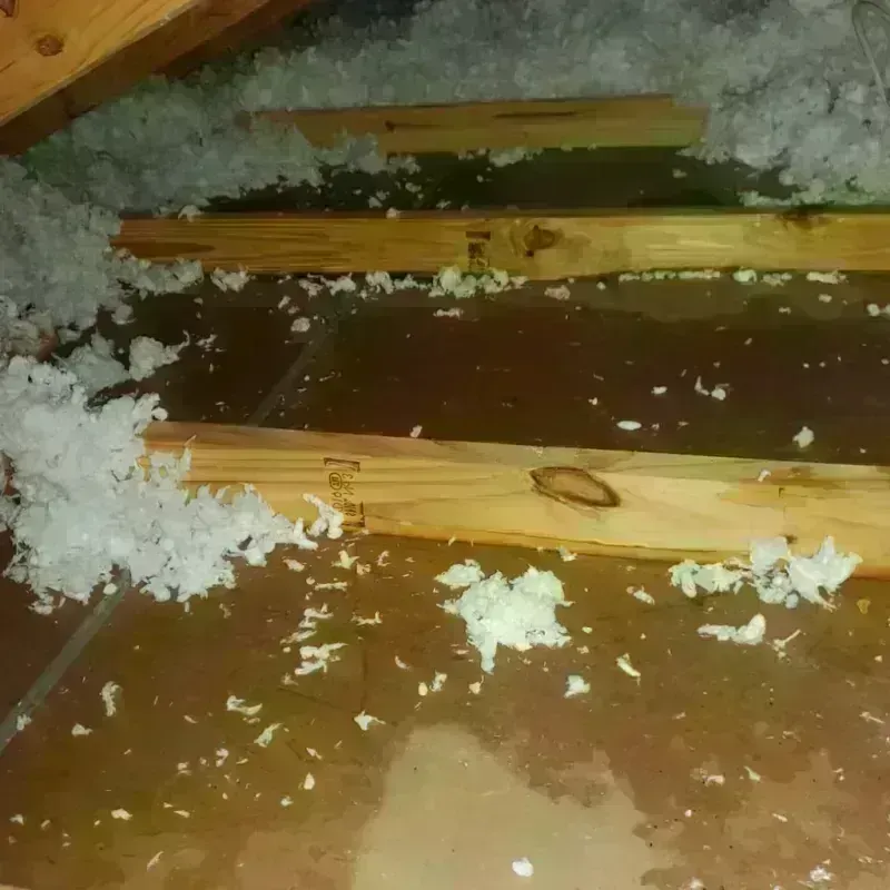 Attic Water Damage in Alpine County, CA