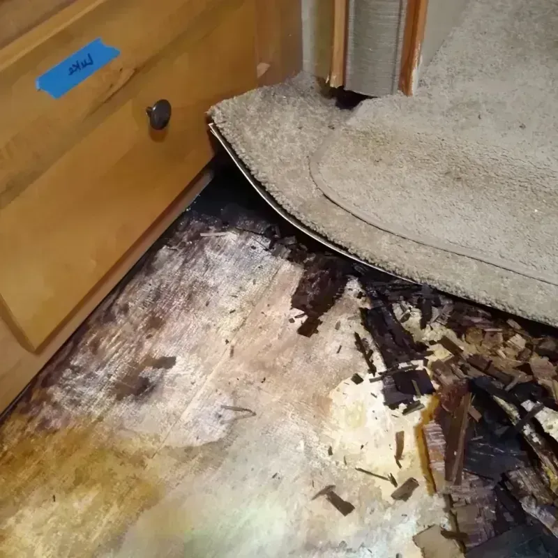 Best Wood Floor Water Damage Service in Alpine County, CA